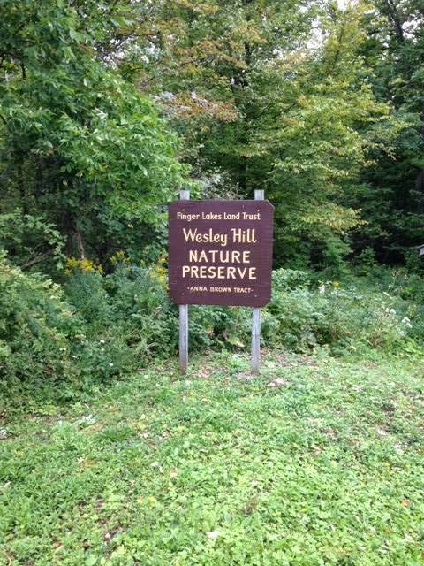 Wesley Hill Nature Preserve