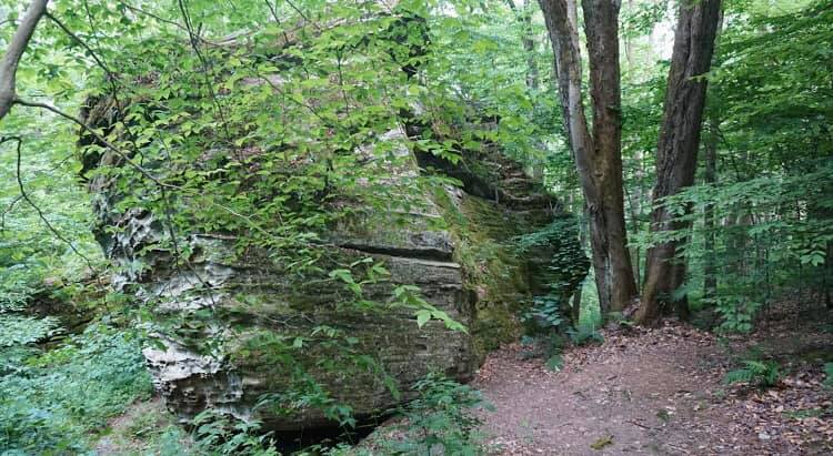 Rock City State Forest – Mansfield, NY | Adventures in New York