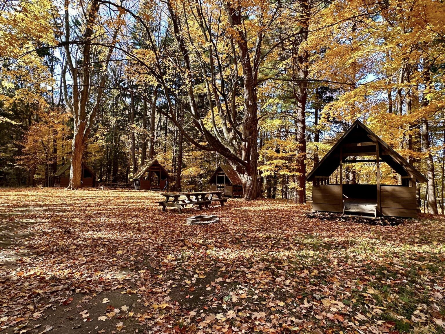 Beechwood State Park – Sodus, NY | Adventures in New York