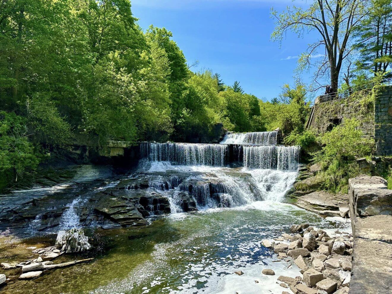 Handicap Accessible Trails in Western New York | Adventures in New York