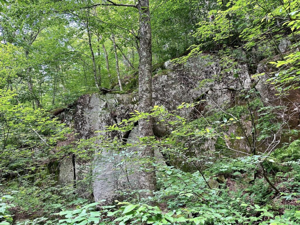 Echo Cliffs on Panther Mountain