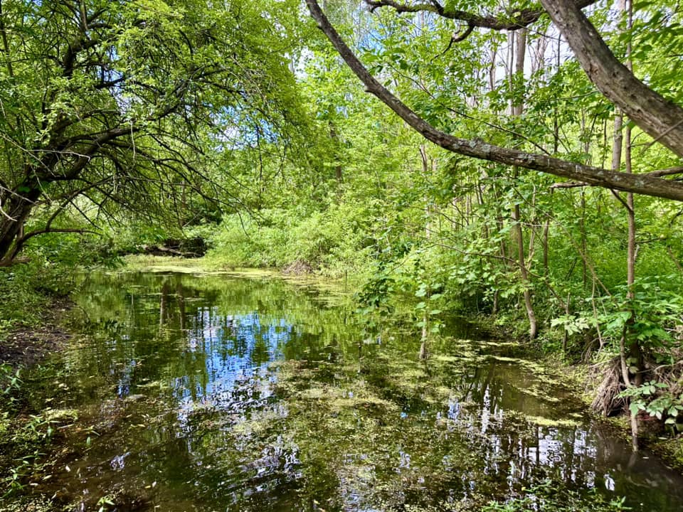 Ganargua Creek Meadow Preserve