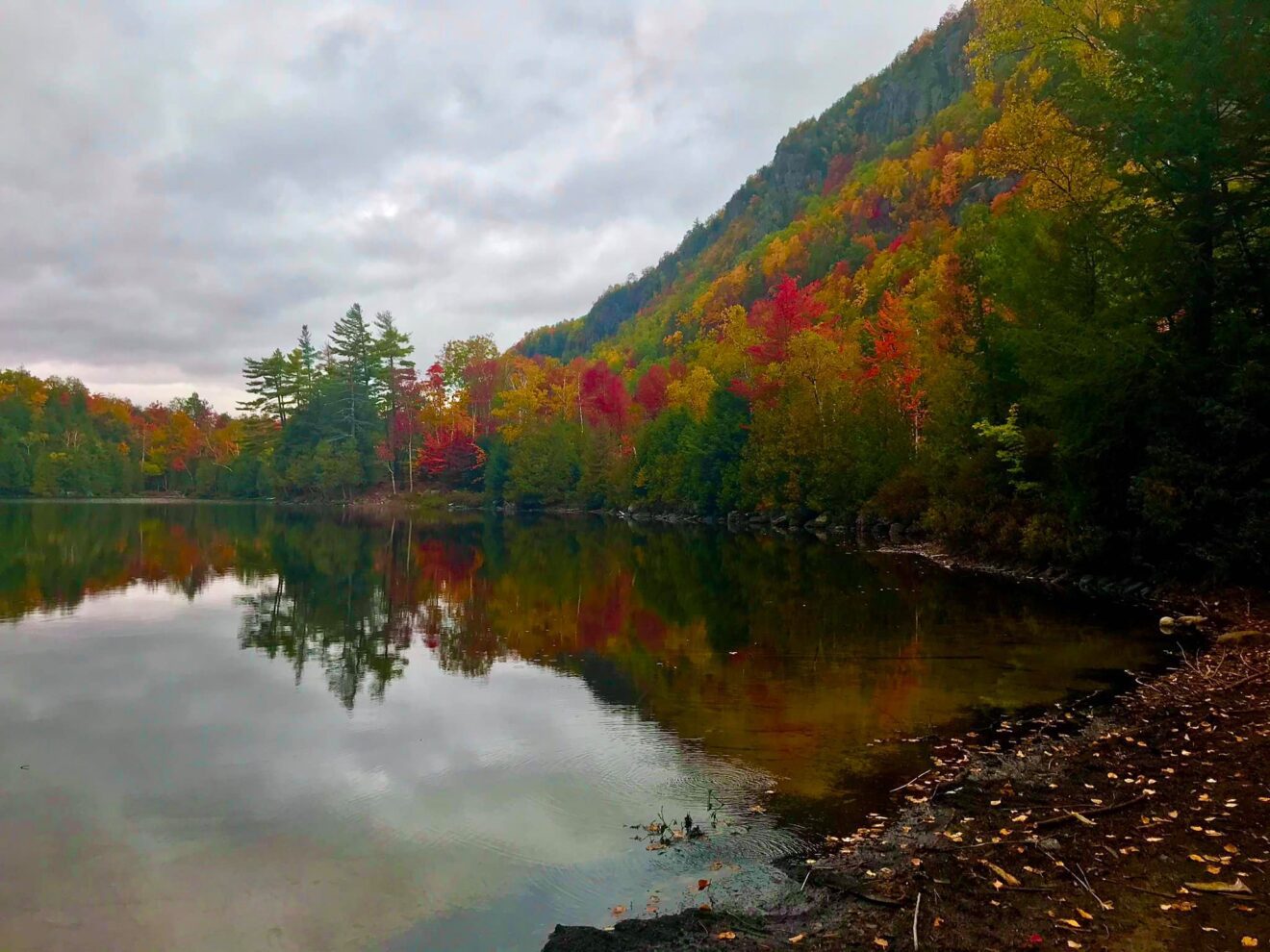 Most Spectacular Drives To See Amazing Fall Colors in New York ...