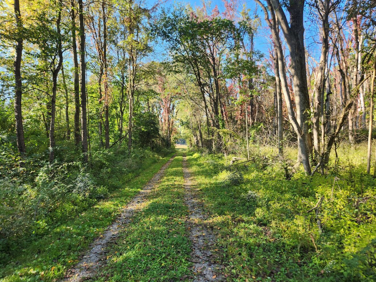 Howland Island Wildlife Management Area ~ Port Byron, NY | Adventures ...