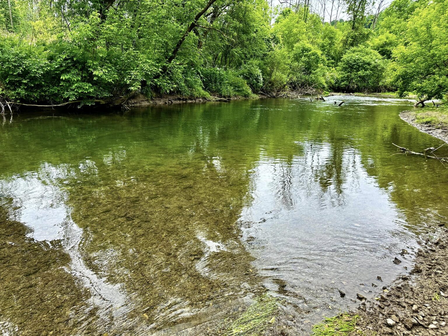 Camillus Valley Natural Area ~ Camillus, NY | Adventures in New York