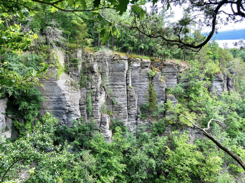 Sims-Jennings Preserve at Cayuga Cliffs