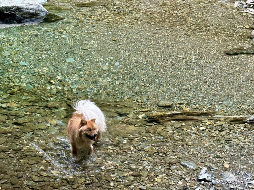 Bash Bish Falls