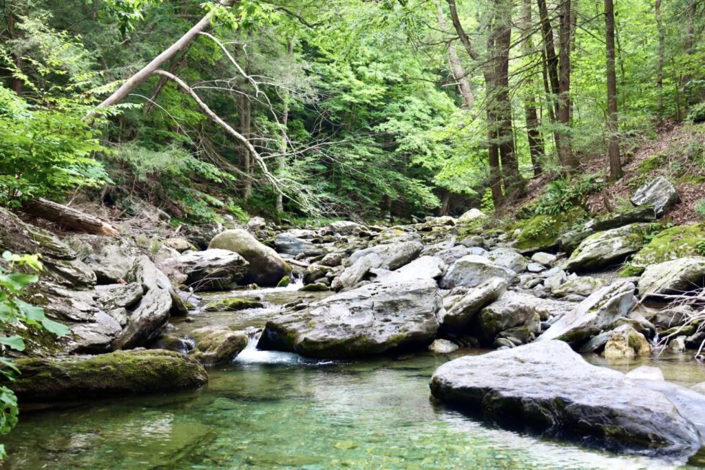 Taconic State Park