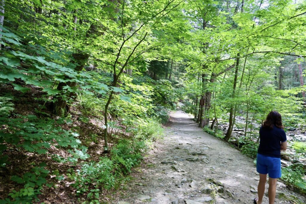 Bash Bish Falls