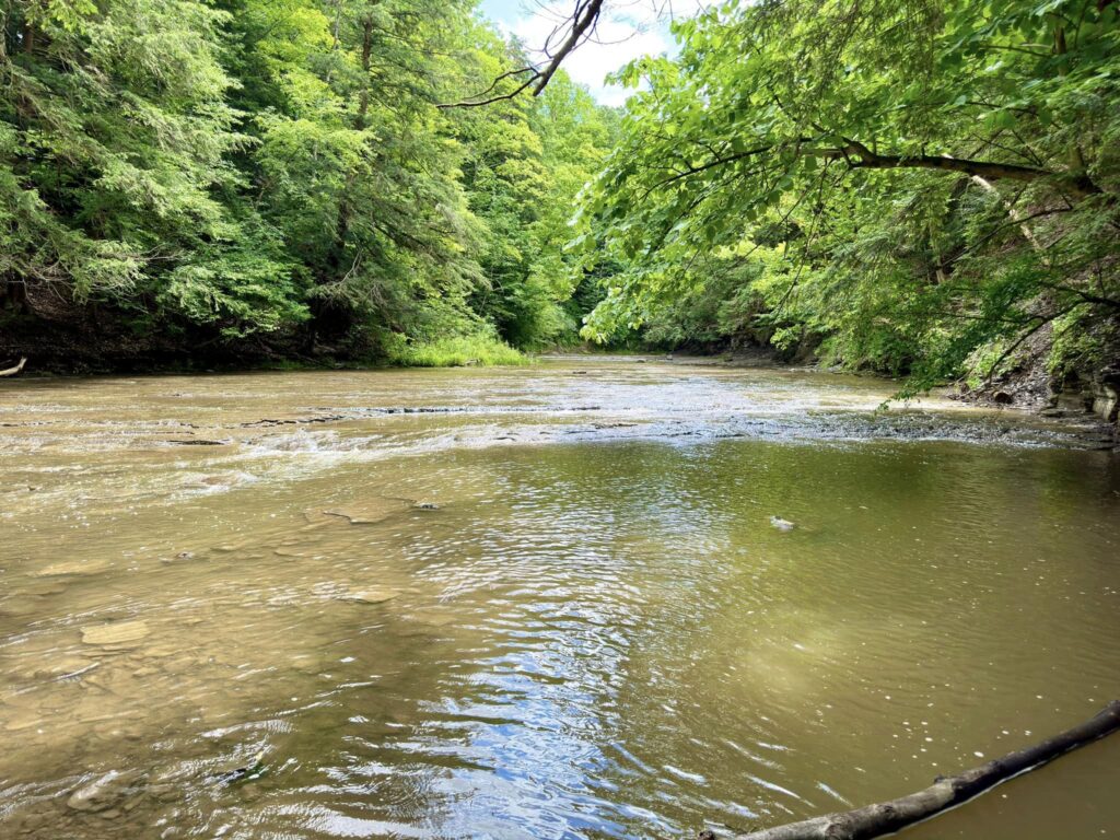 Hunters Creek County Park