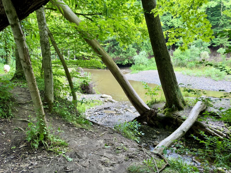 Hunters Creek County Park