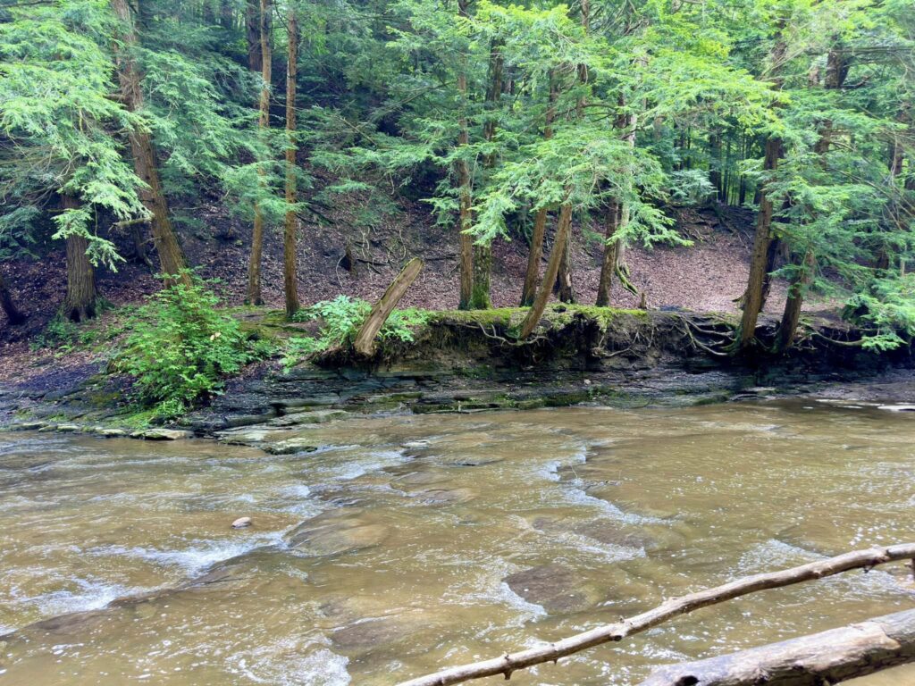 Hunters Creek County Park