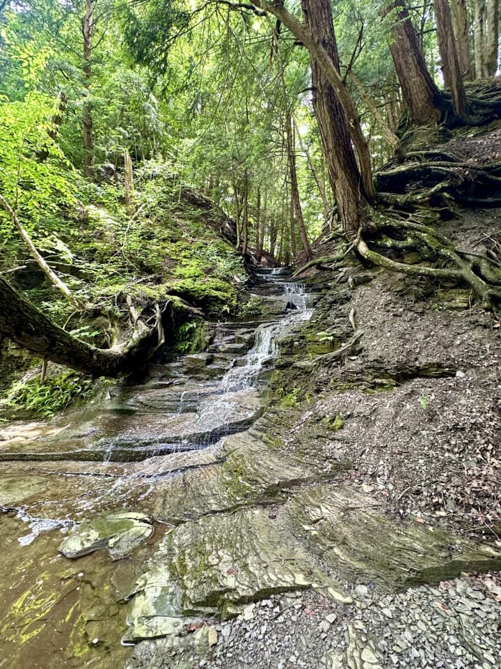 Hunters Creek County Park