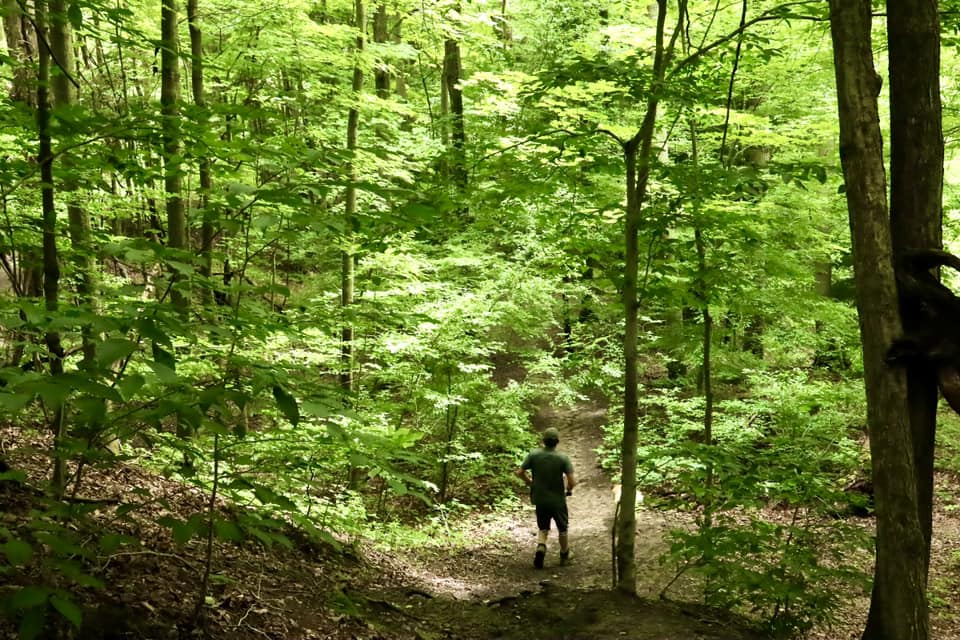 Hunters Creek County Park