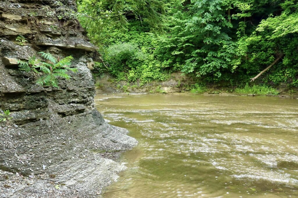 Hunters Creek County Park