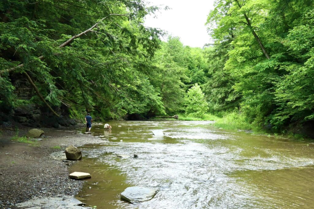 Hunters Creek County Park