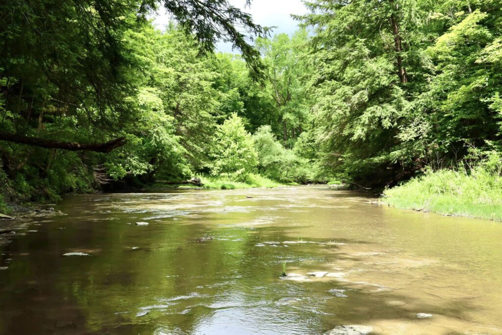 Hunters Creek County Park