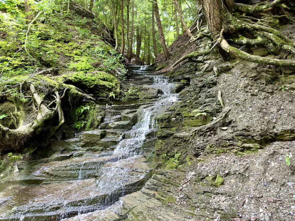 Hunters Creek County Park