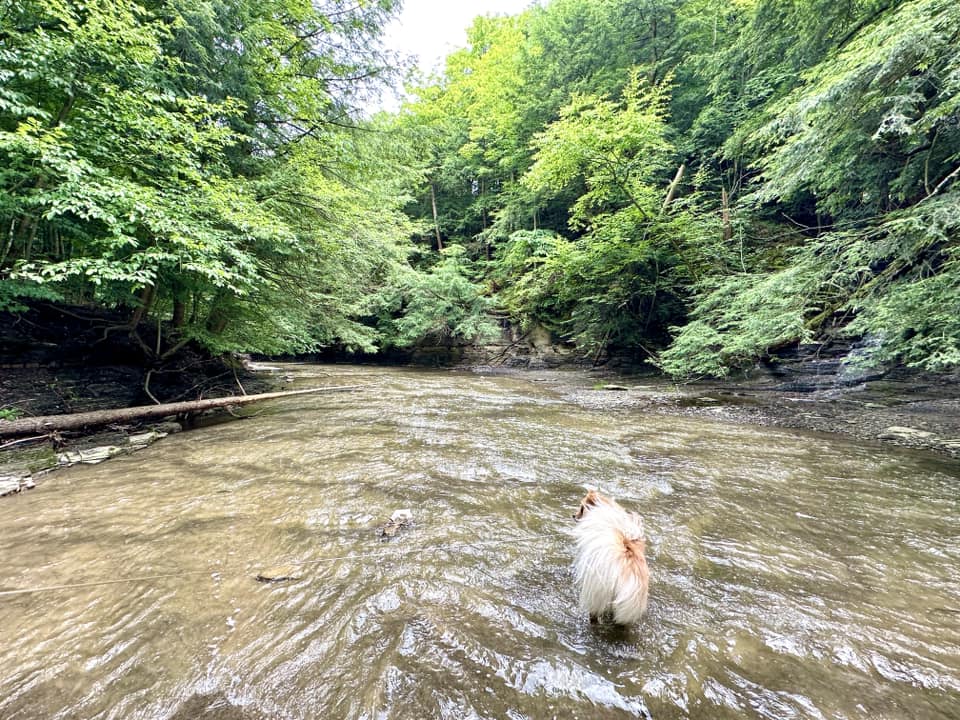 Hunters Creek County Park