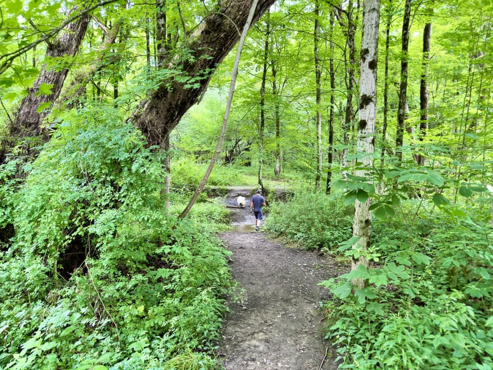 Hunters Creek County Park