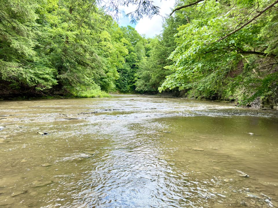 Hunters Creek County Park