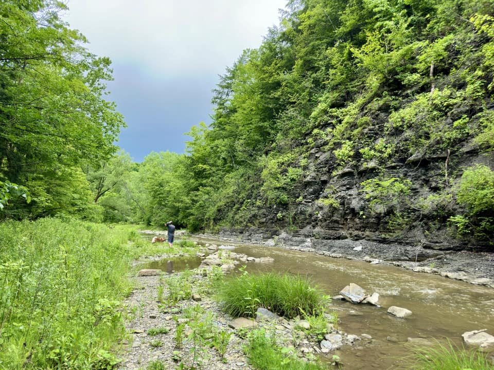 Hunters Creek County Park