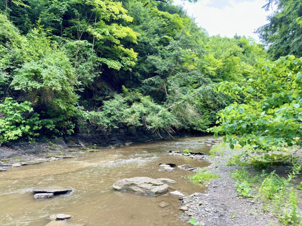 Hunters Creek County Park