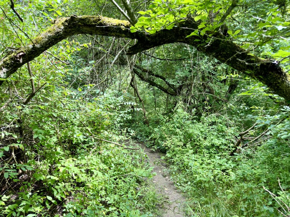 Hunters Creek County Park