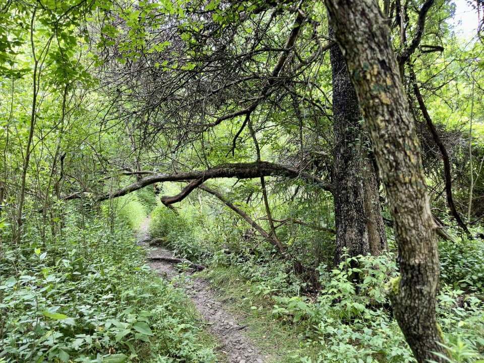 Hunters Creek County Park