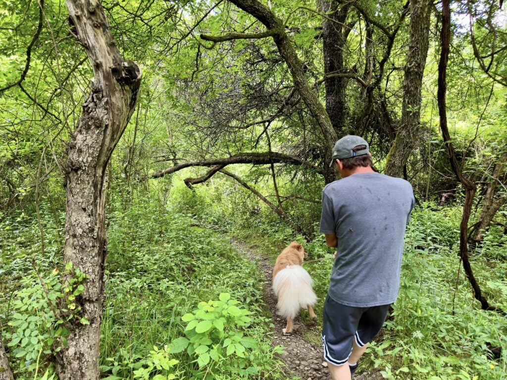 Hunters Creek County Park