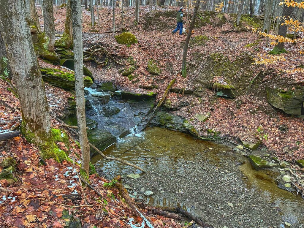 Hunters Creek County Park