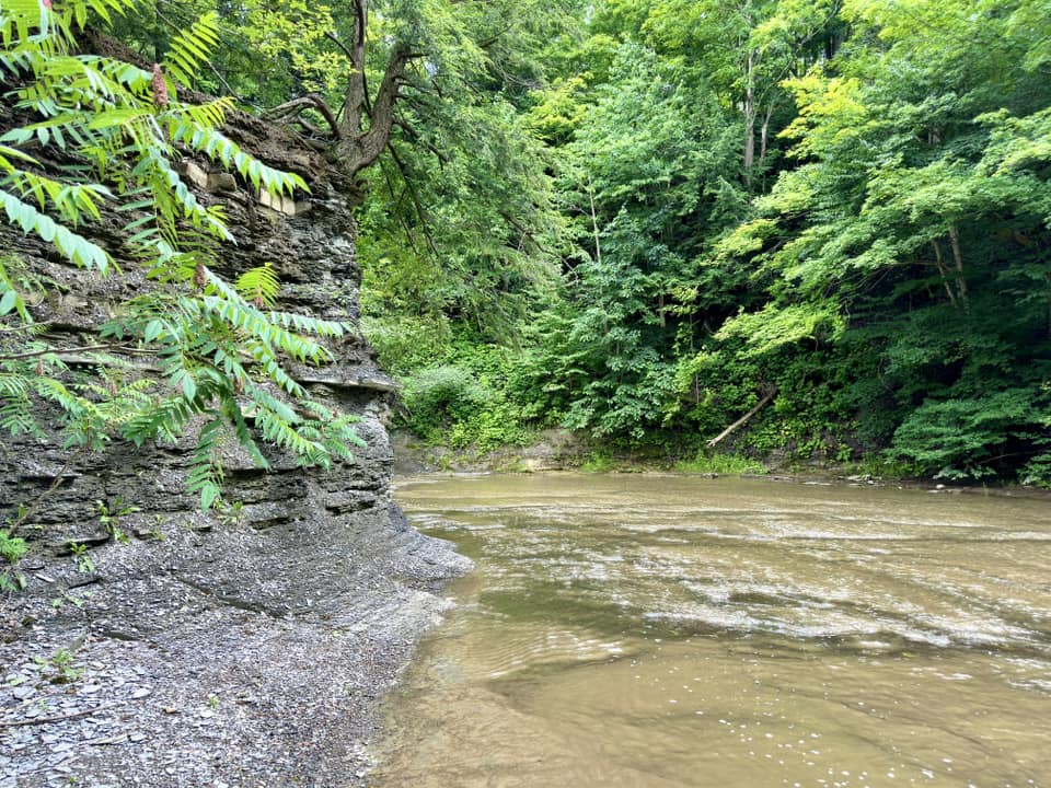 Hunters Creek County Park