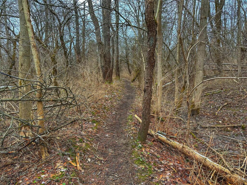 Hunters Creek County Park