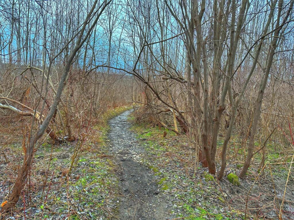 Hunters Creek County Park