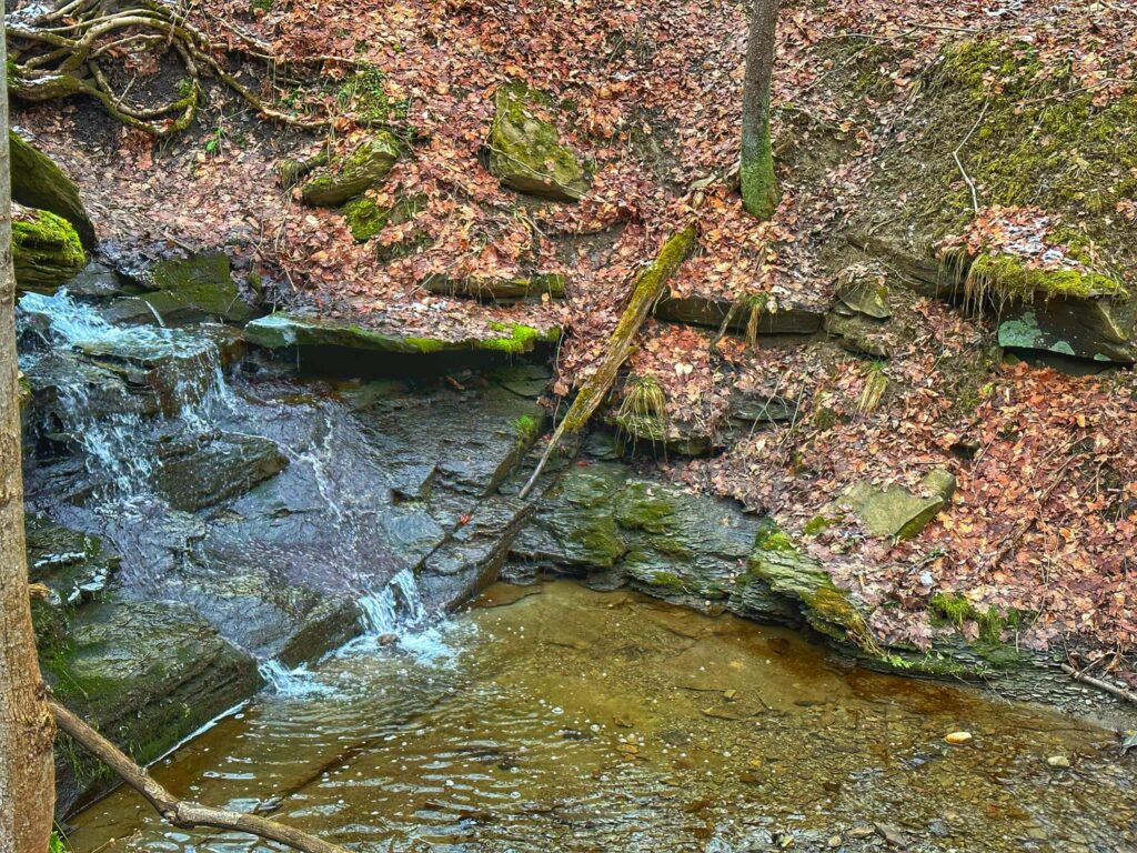 Hunters Creek County Park