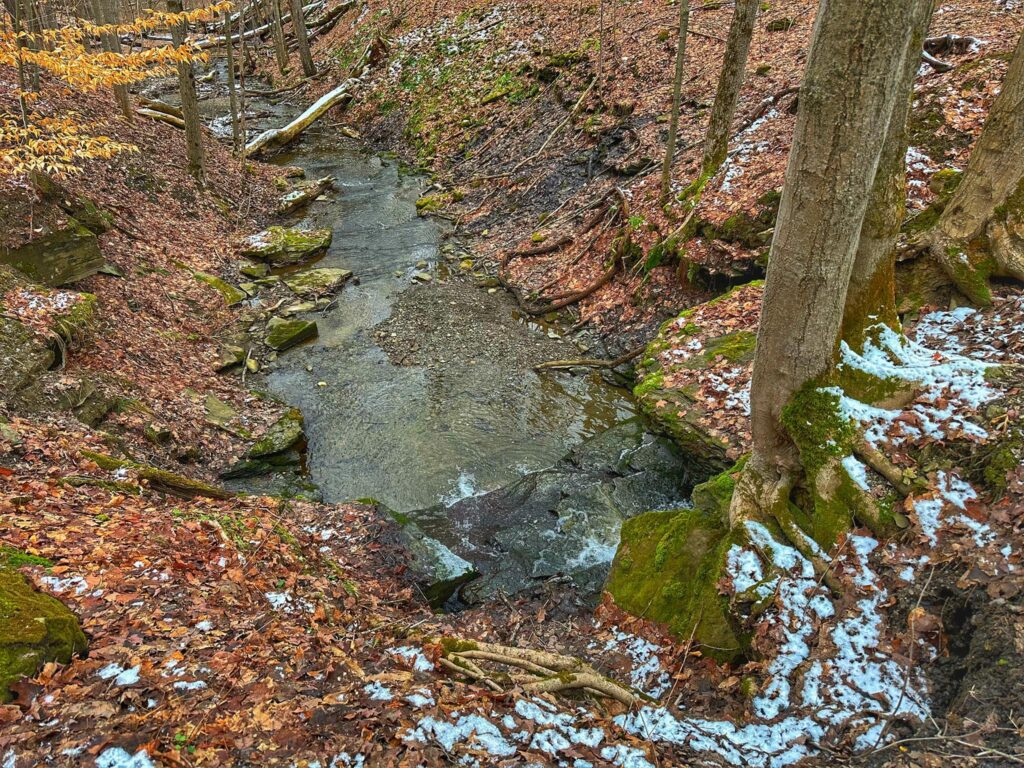 Hunters Creek County Park