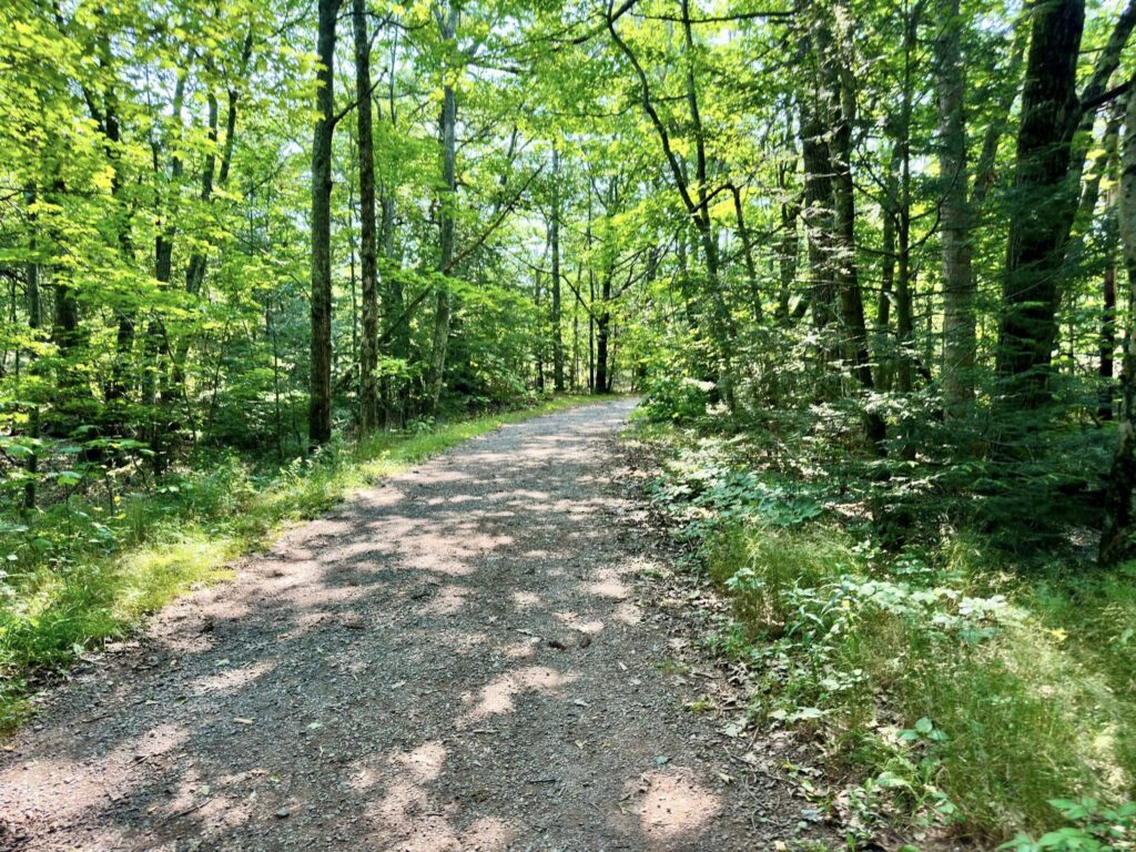 Catskill Mountain House Site