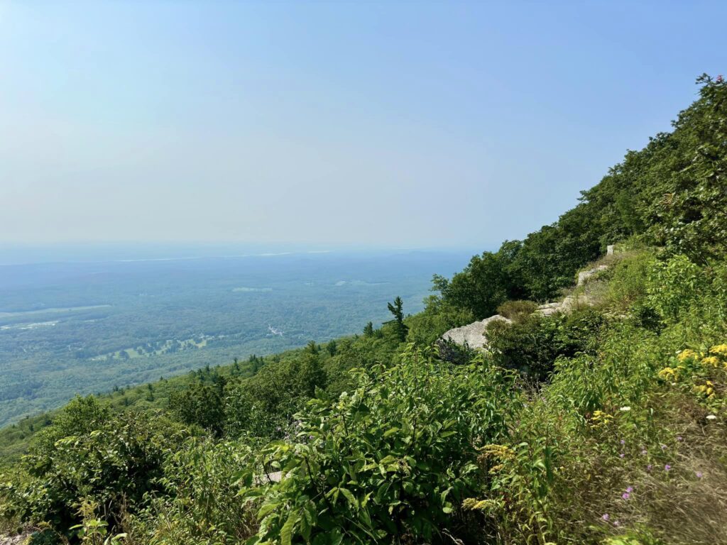 Catskill Mountain House Site