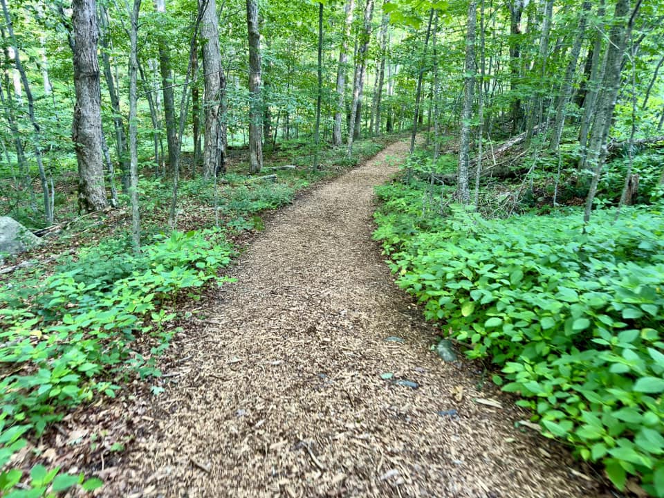 Devil's Tombstone Campground