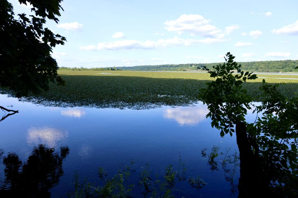 Falling Waters Preserve