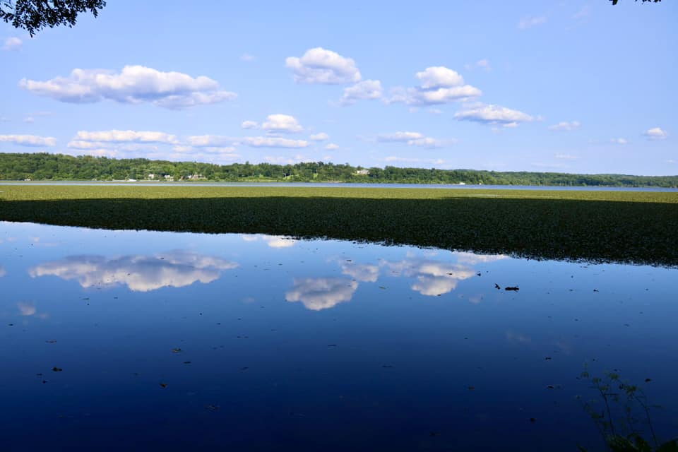 Falling Waters Preserve