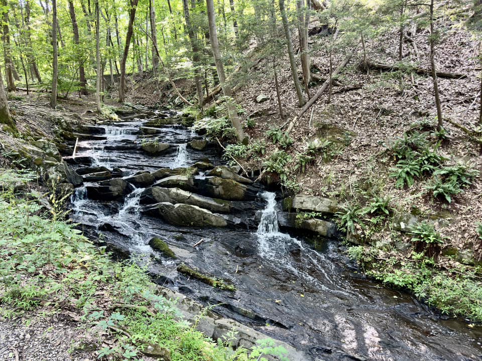 Falling Waters Preserve