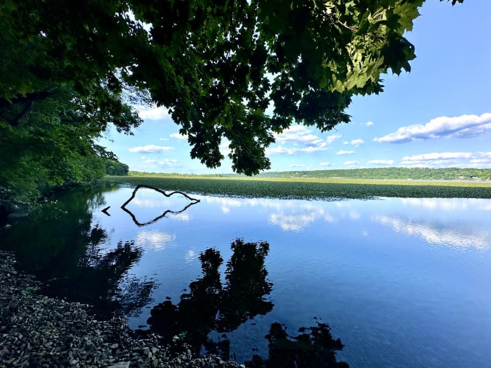 Falling Waters Preserve