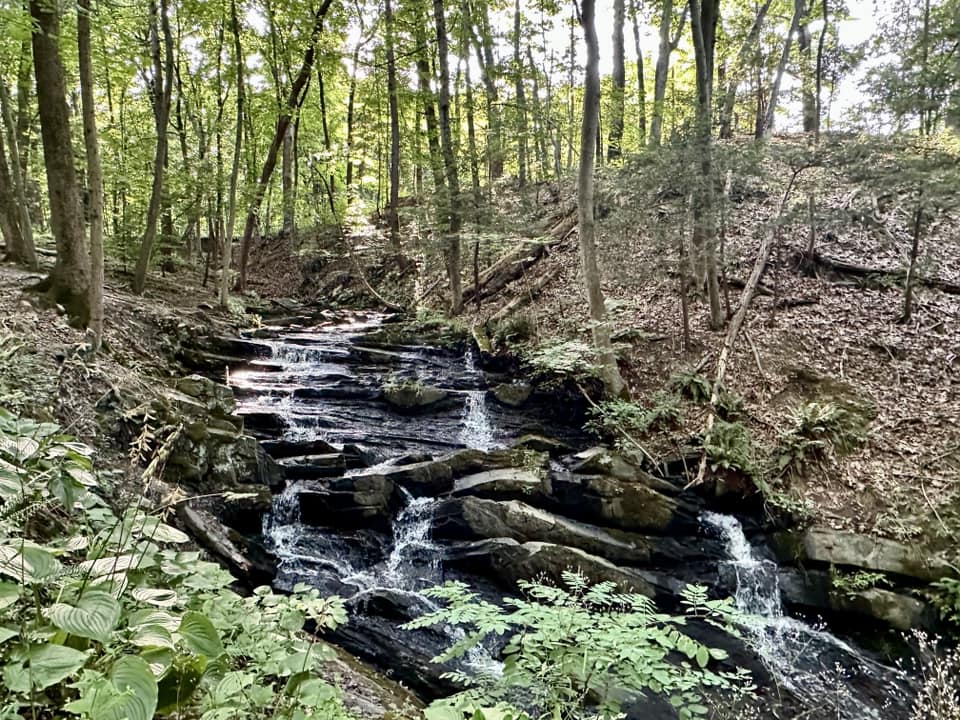 Falling Waters Preserve