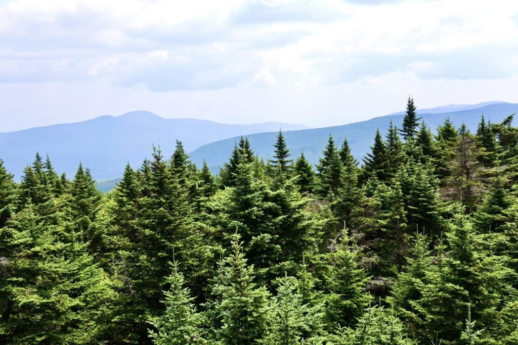 Hunter Mountain Skyride & Fire Tower