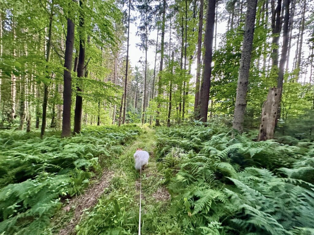 Taconic State Park