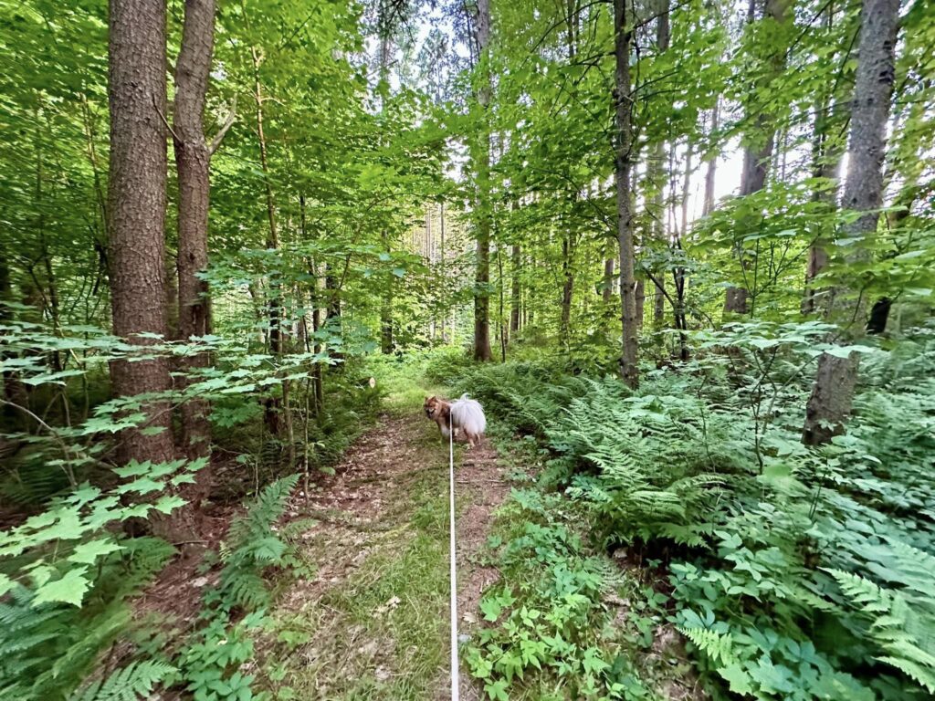 Taconic State Park