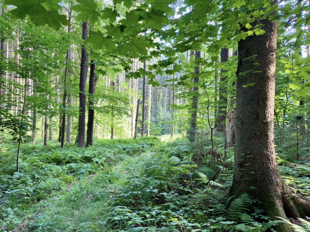 Taconic State Park