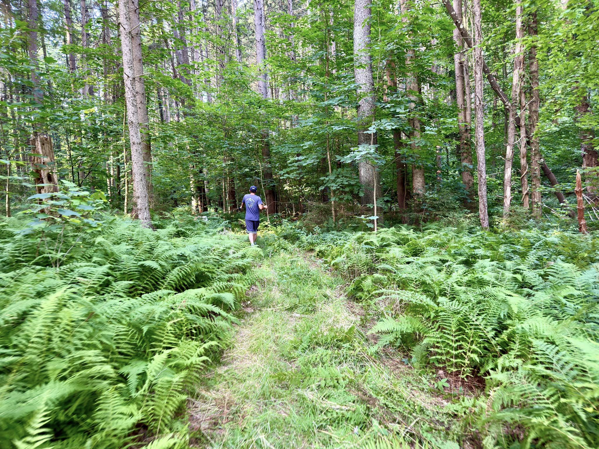 Taconic State Park