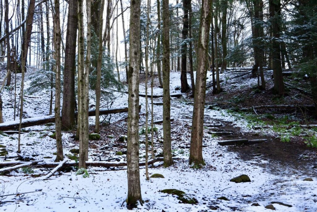 Deerfield Wilderness Park